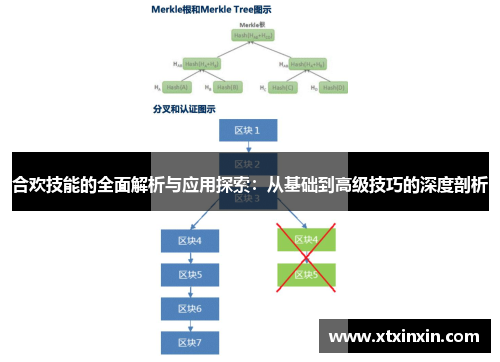 合欢技能的全面解析与应用探索:从基础到高级技巧的深度剖析 合欢技能的全面解析与应用探索:从基础到高级技巧的深度剖析